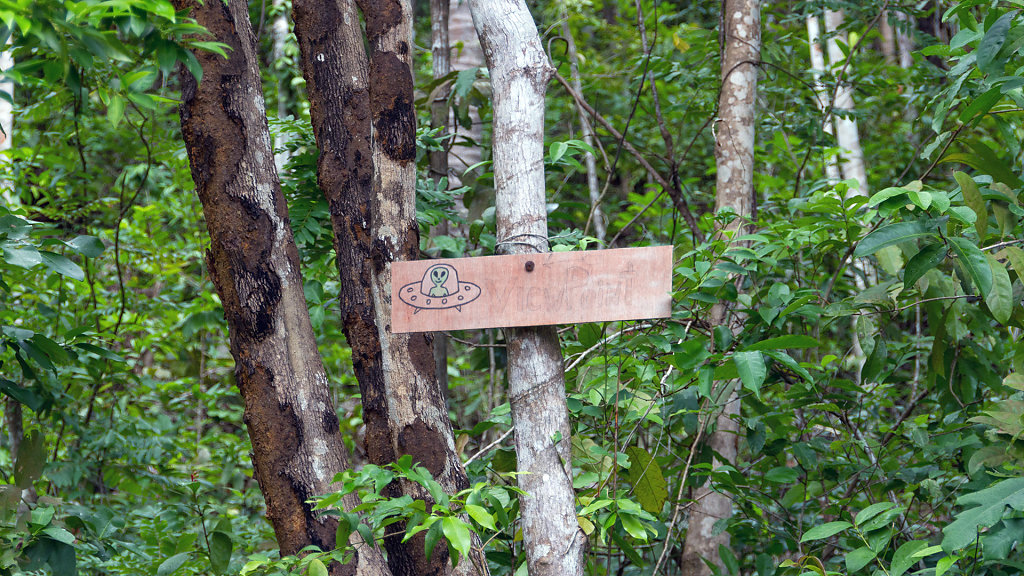 AKL-6850.jpg