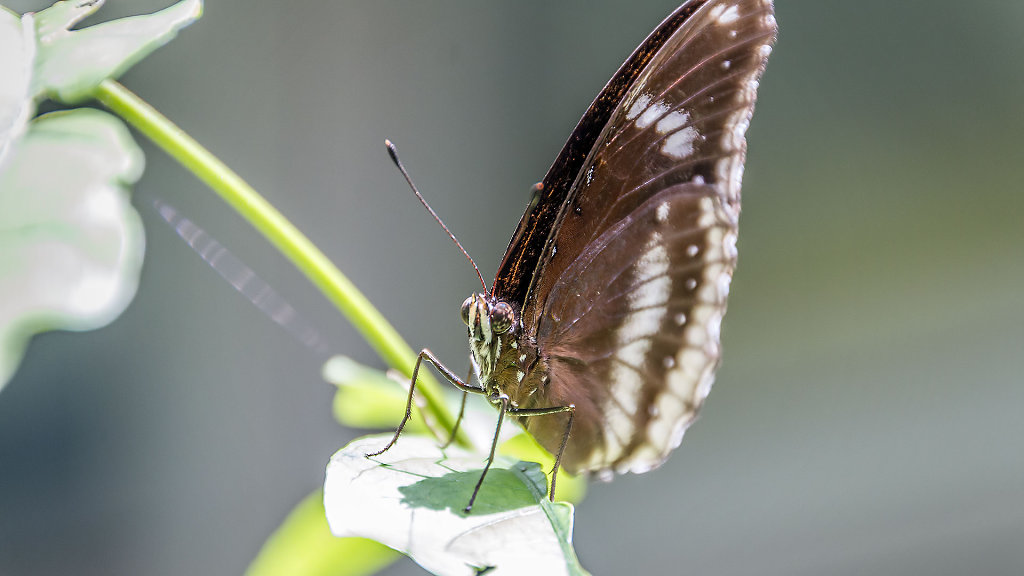 AKL-7491.jpg