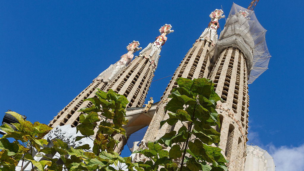 BCN-8040.jpg