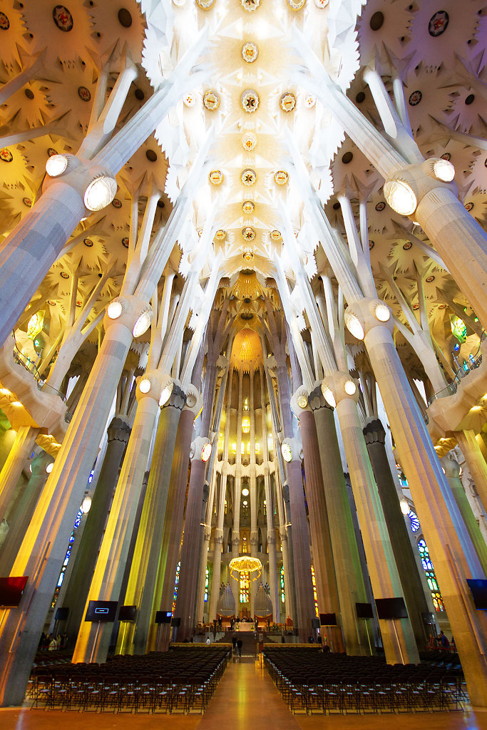 BCN-8108.jpg