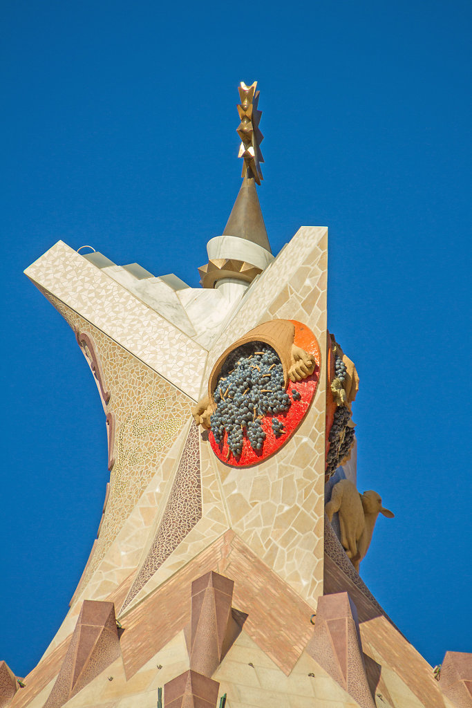 BCN-8214.jpg