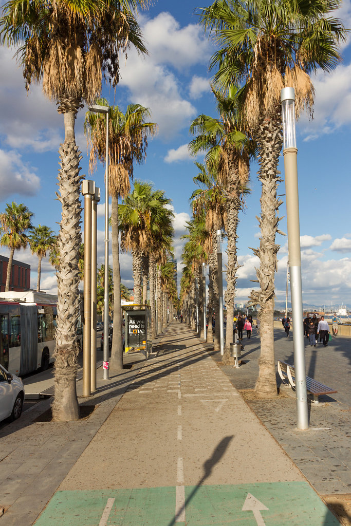 BCN-8300.jpg