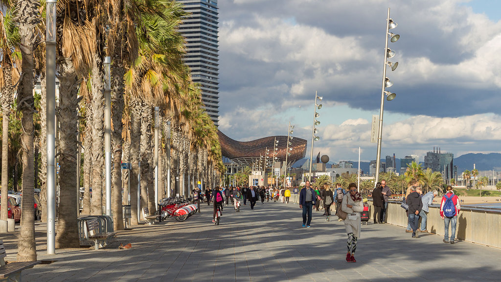 BCN-8303.jpg