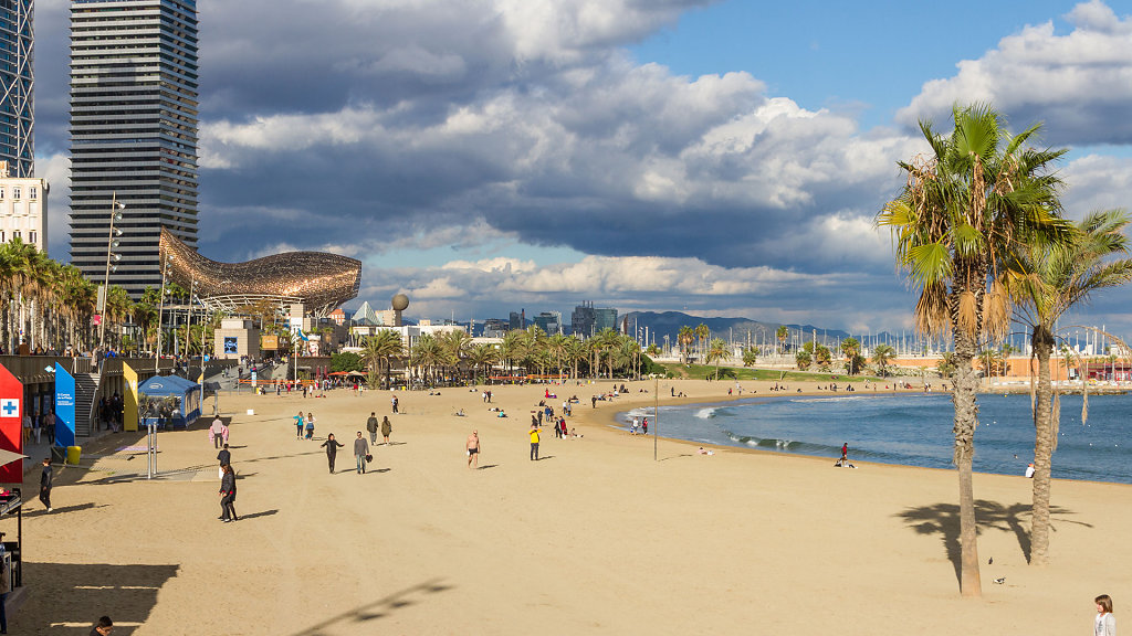 BCN-8312.jpg