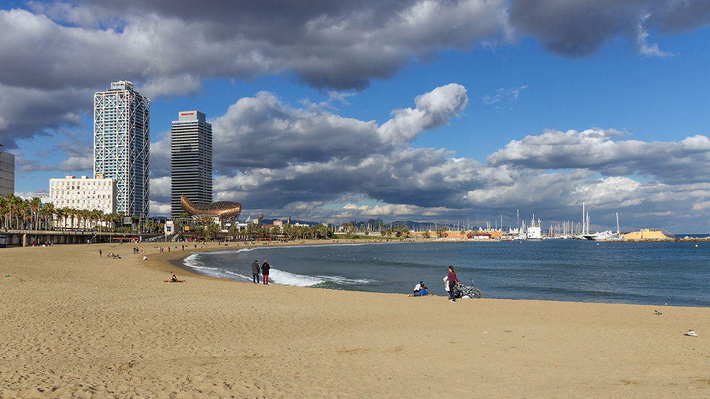 BCN-8313.jpg