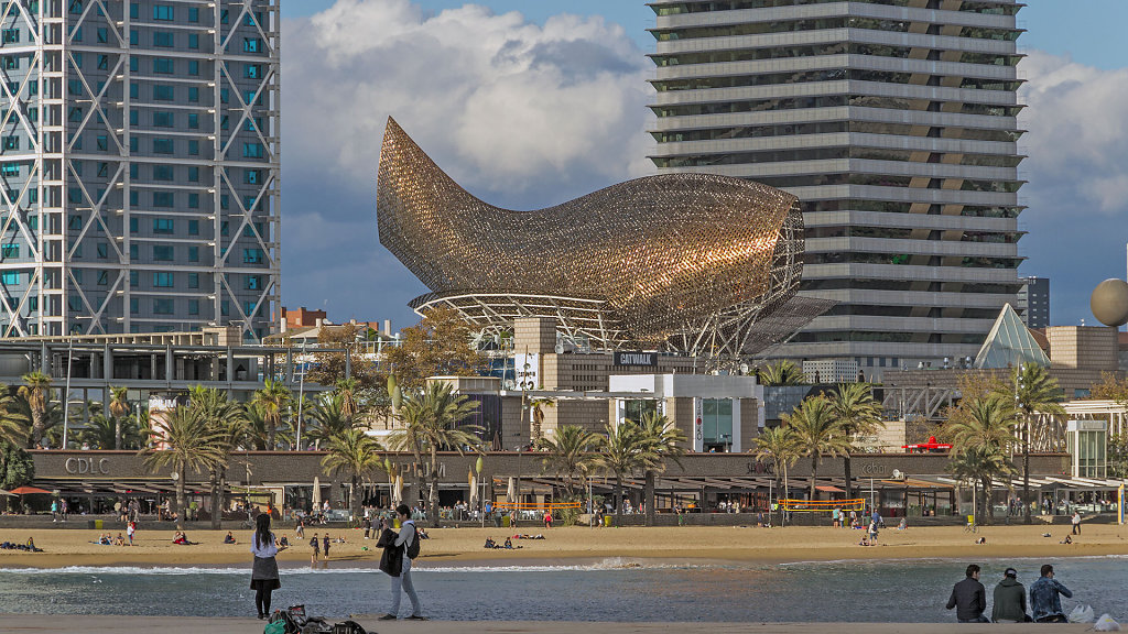 BCN-8330.jpg