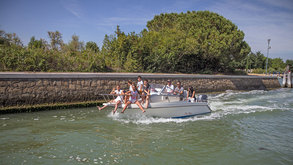 VCE-1271.jpg
