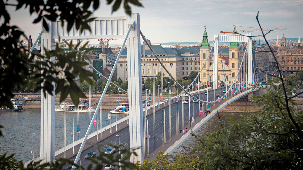  Elisabeth Bridge Erzsébet híd