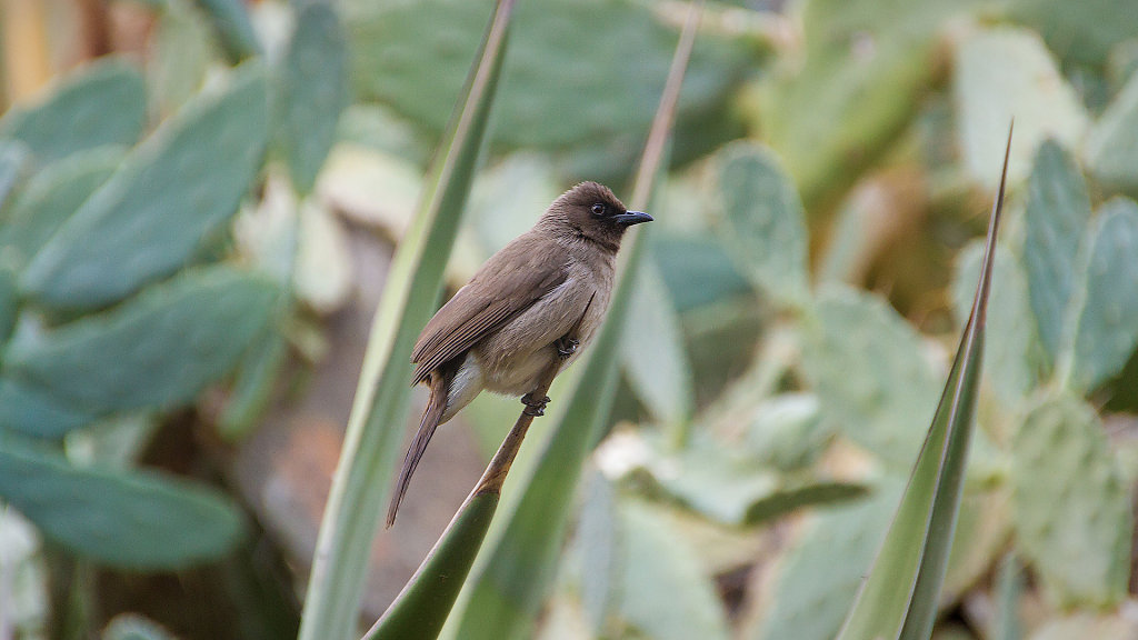 RAK-0703.jpg