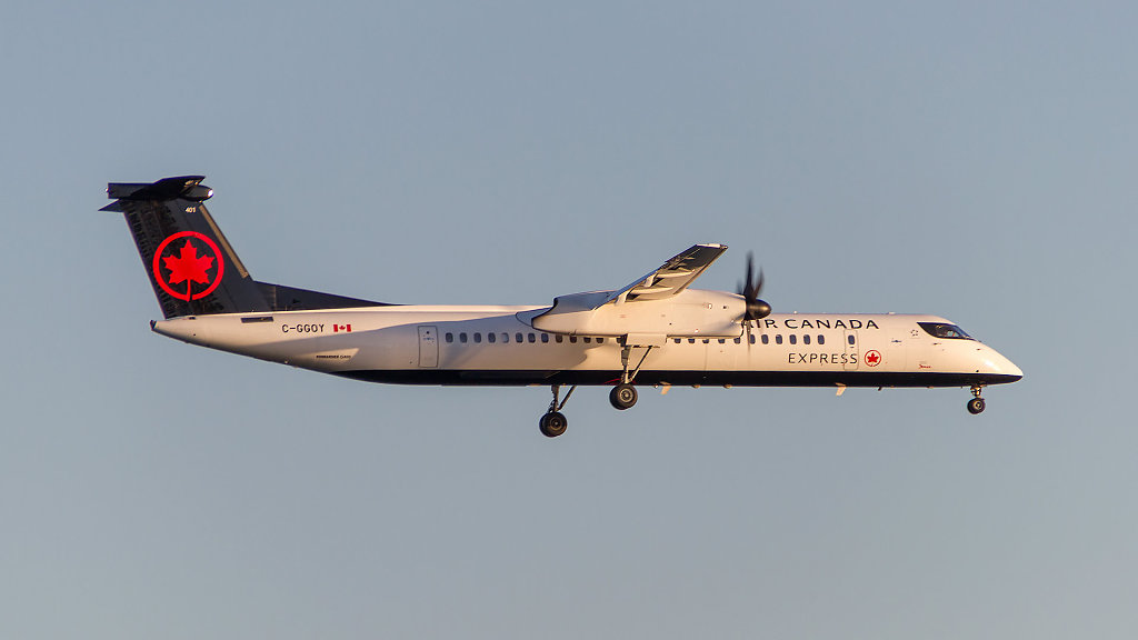 CAN-2725.jpg