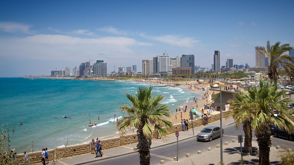 TLV-0073.jpg