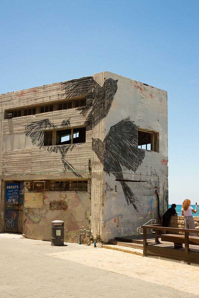 TLV-0074.jpg