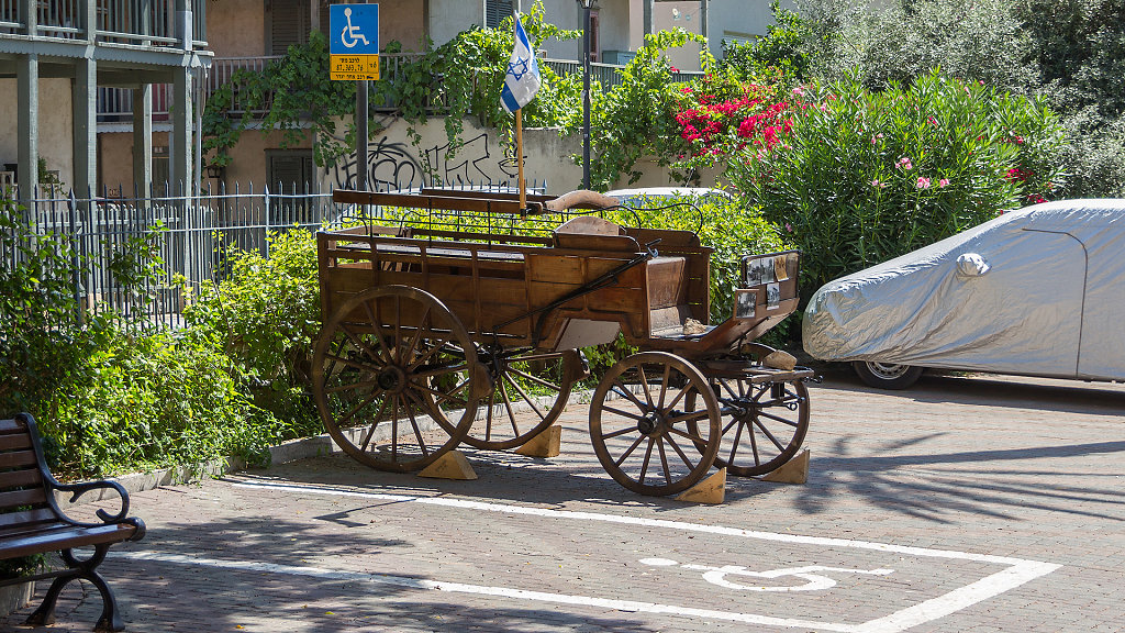 TLV-0100.jpg
