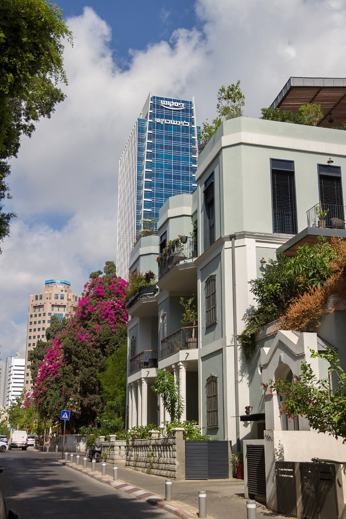 TLV-0115.jpg
