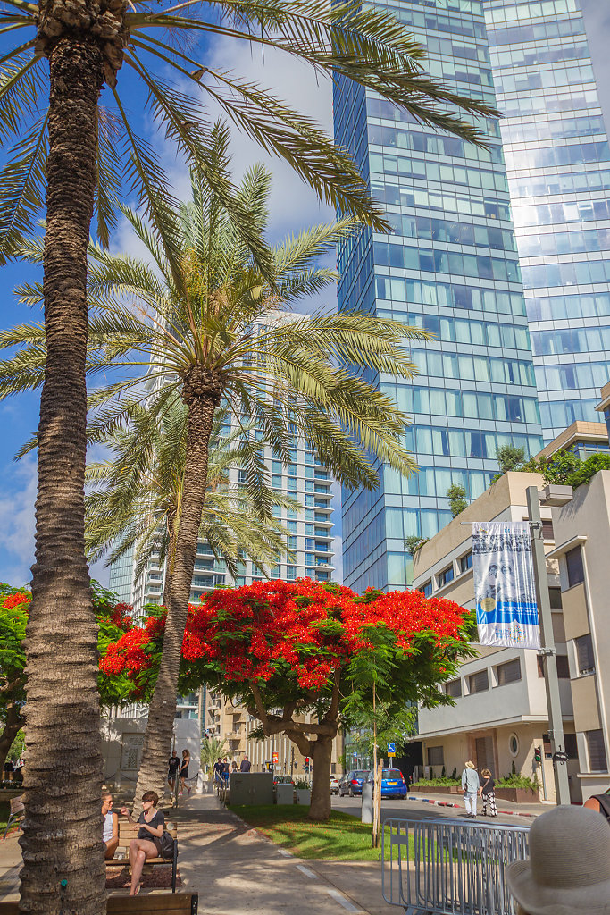 TLV-0121.jpg