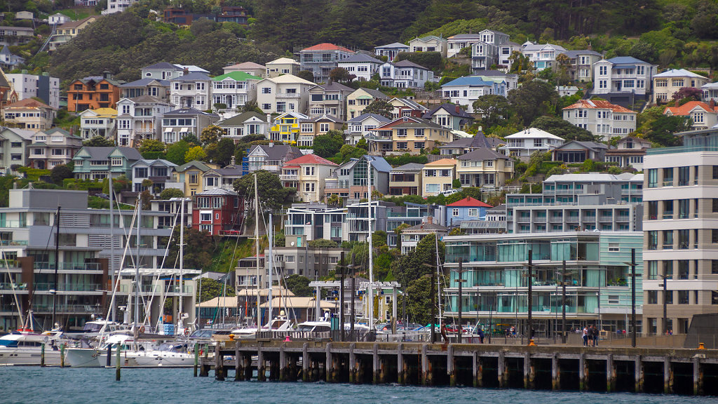 WLG-0296.jpg