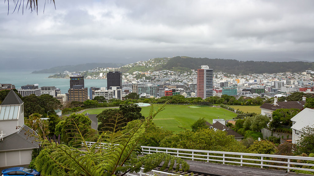 WLG-0324.jpg