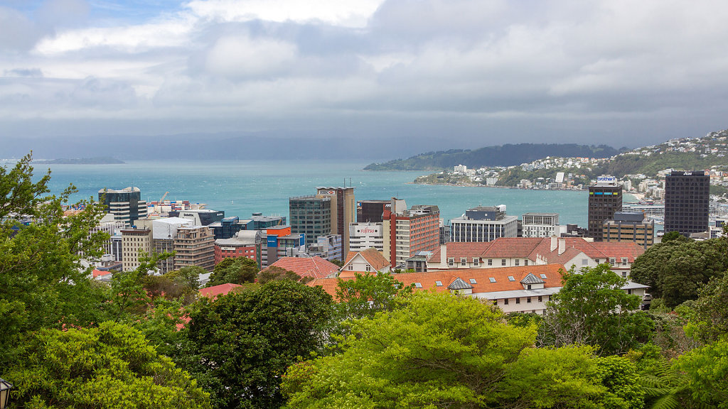 WLG-0329.jpg