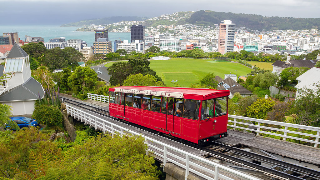 WLG-0342.jpg
