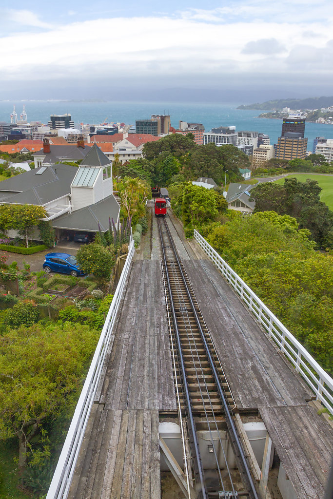 WLG-0351.jpg