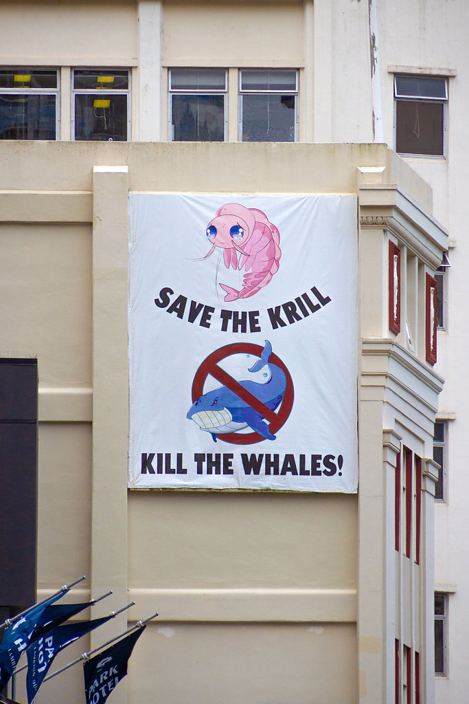 WLG-0365.jpg