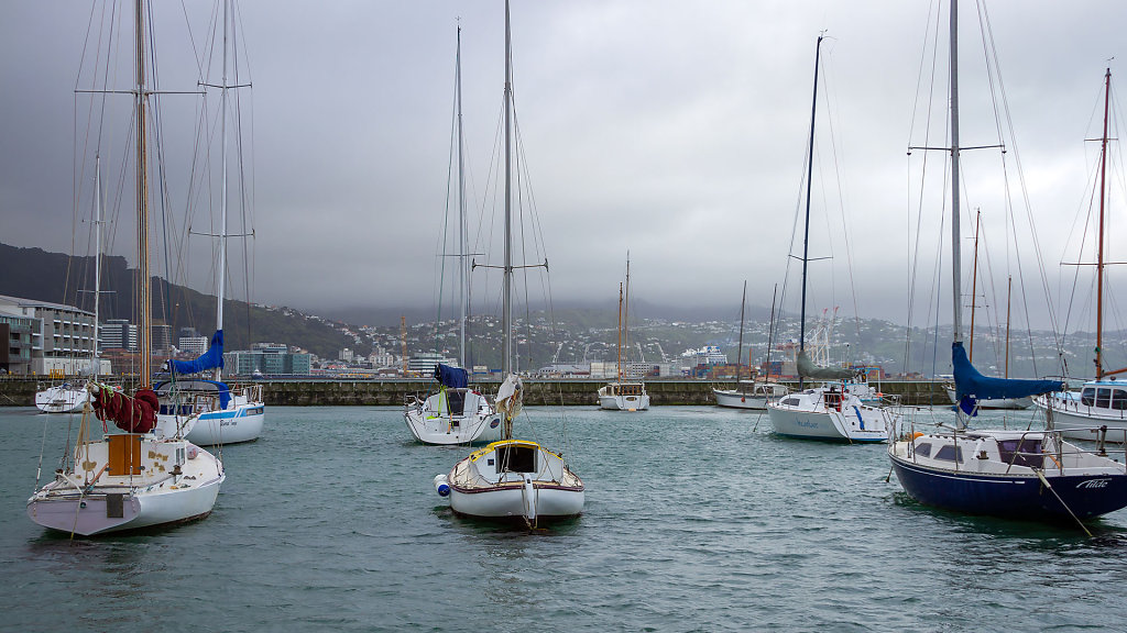 WLG-0384.jpg