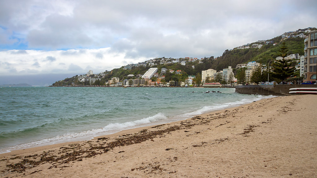 WLG-0385.jpg