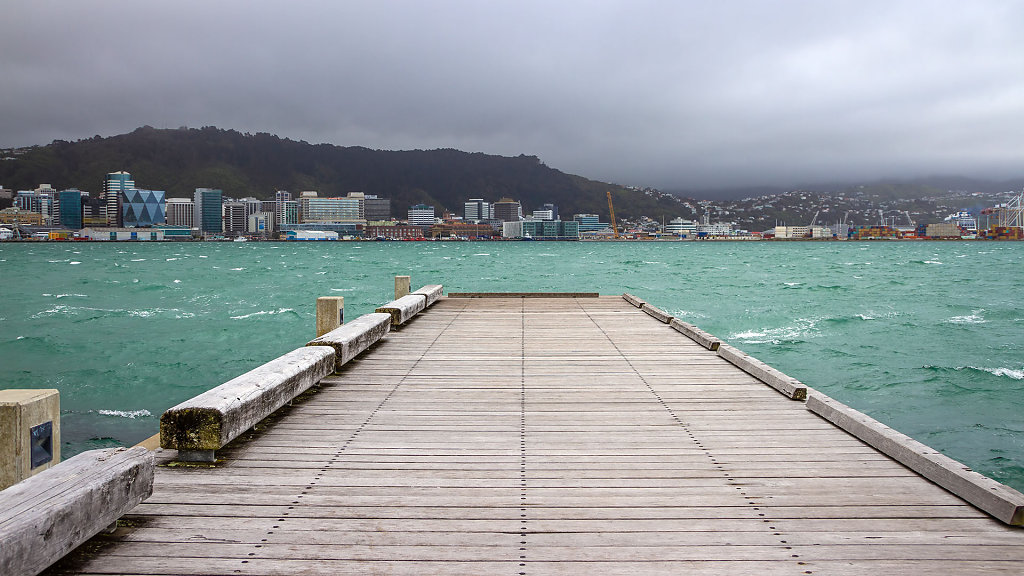 WLG-0388.jpg