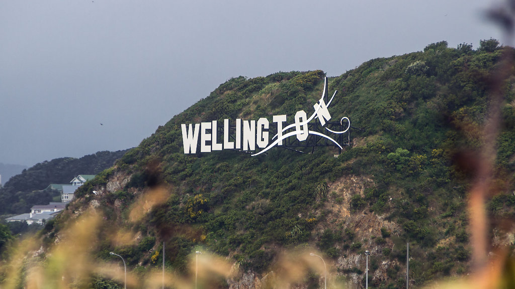 WLG-0392.jpg