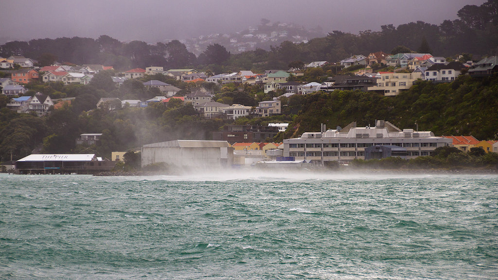 WLG-0393.jpg