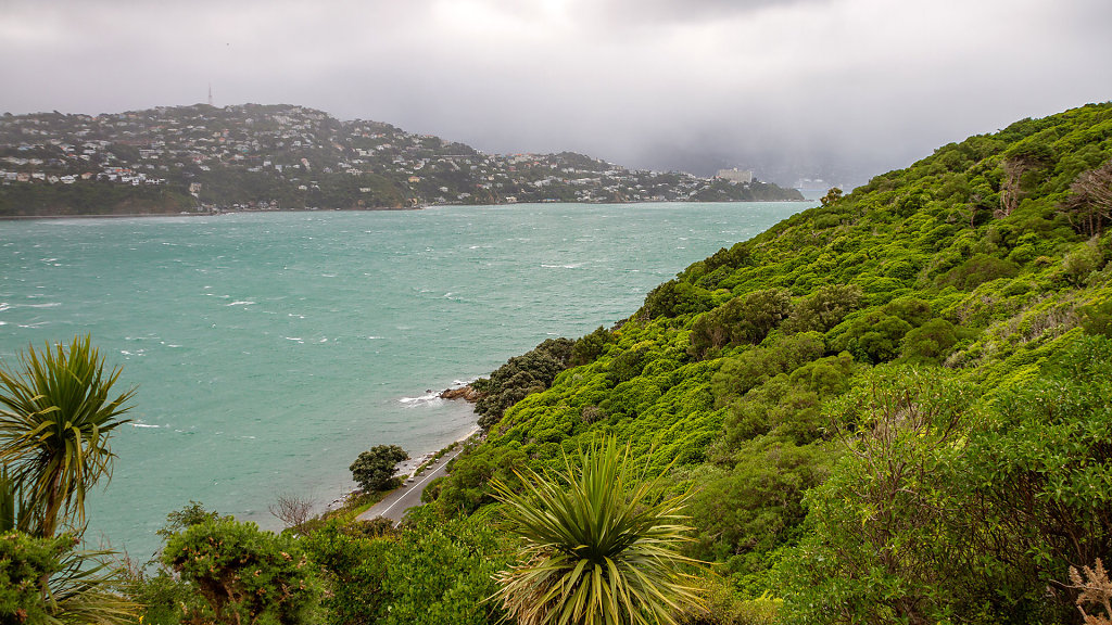 WLG-0396.jpg