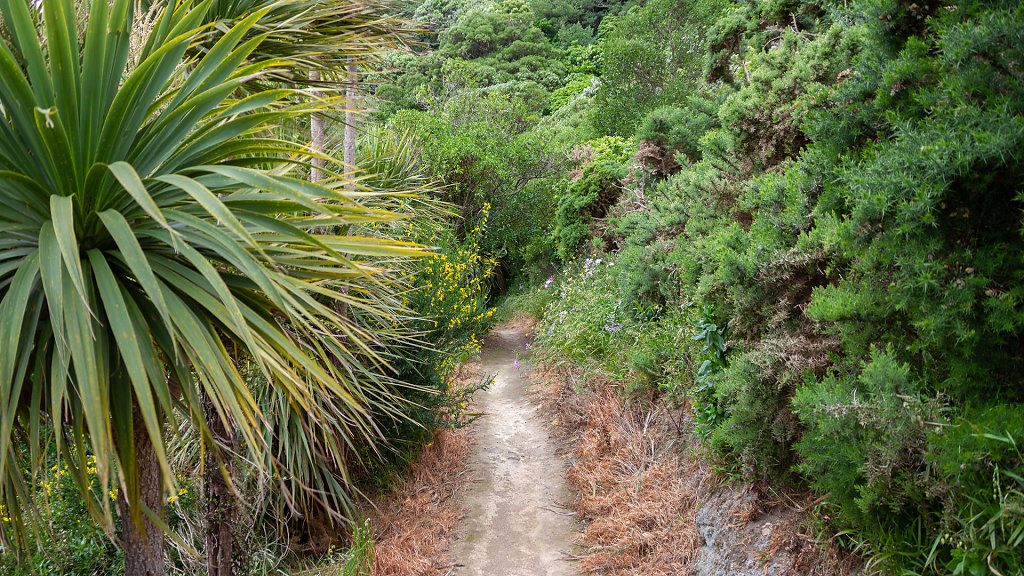 WLG-0402.jpg