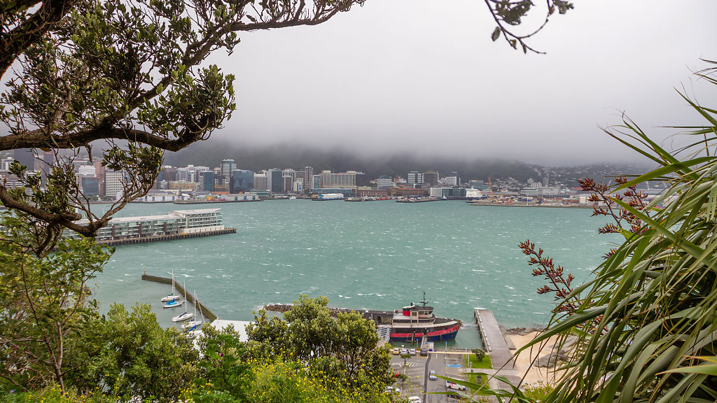WLG-0406.jpg