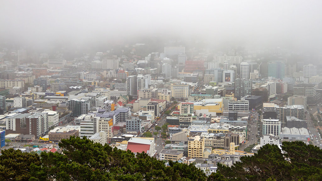 WLG-0418.jpg