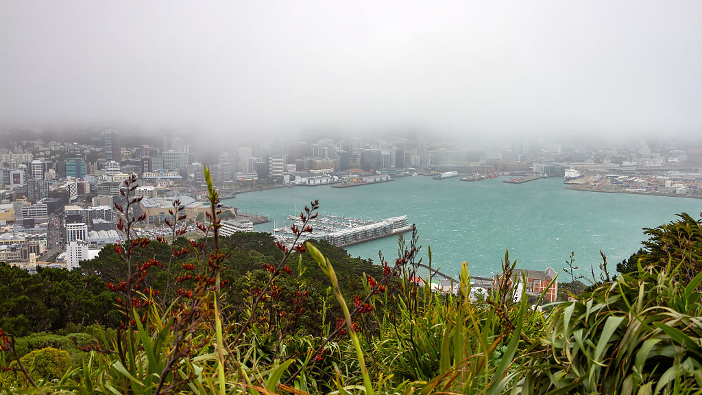 WLG-0420.jpg