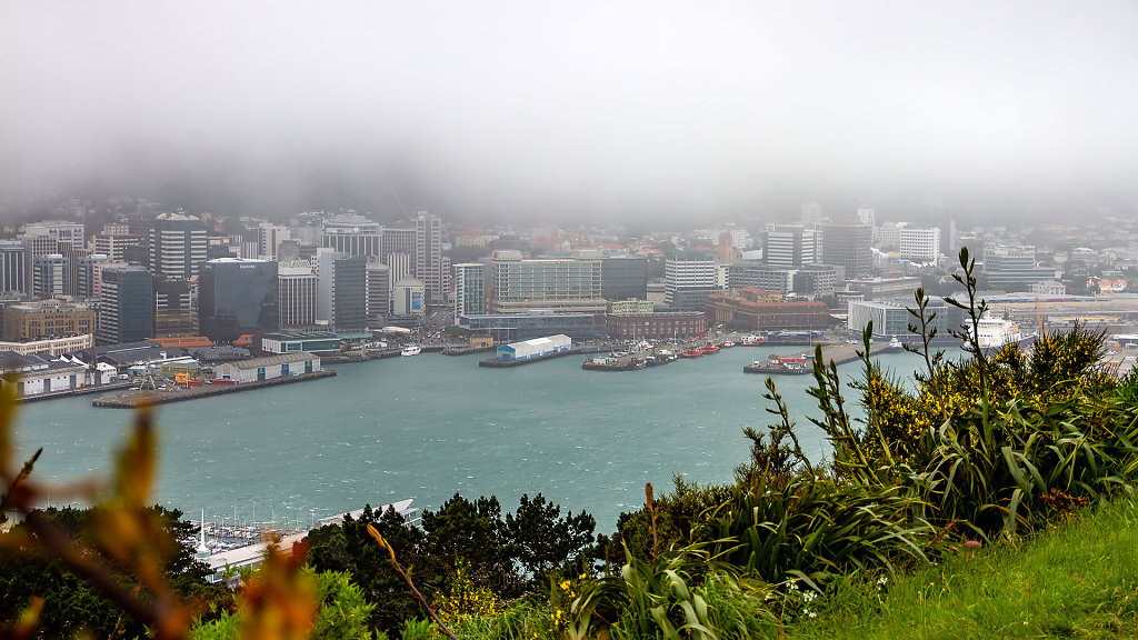 WLG-0422.jpg