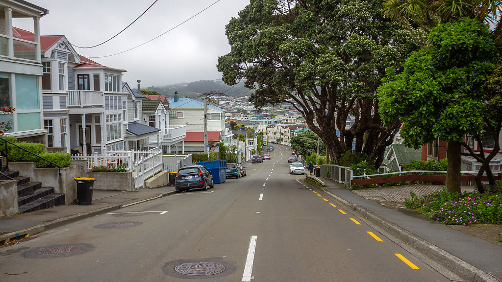 WLG-0424.jpg
