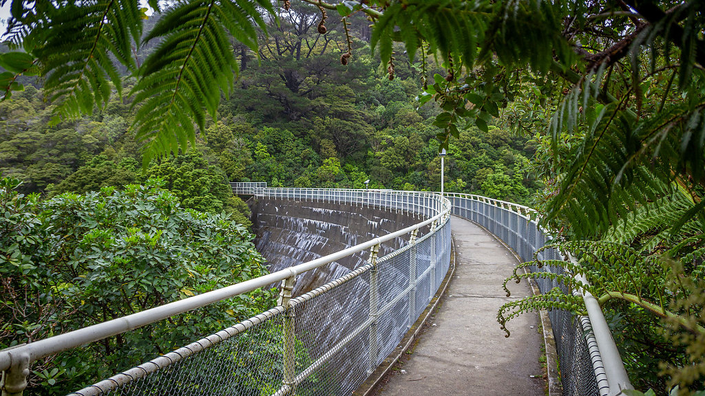 WLG-0488.jpg