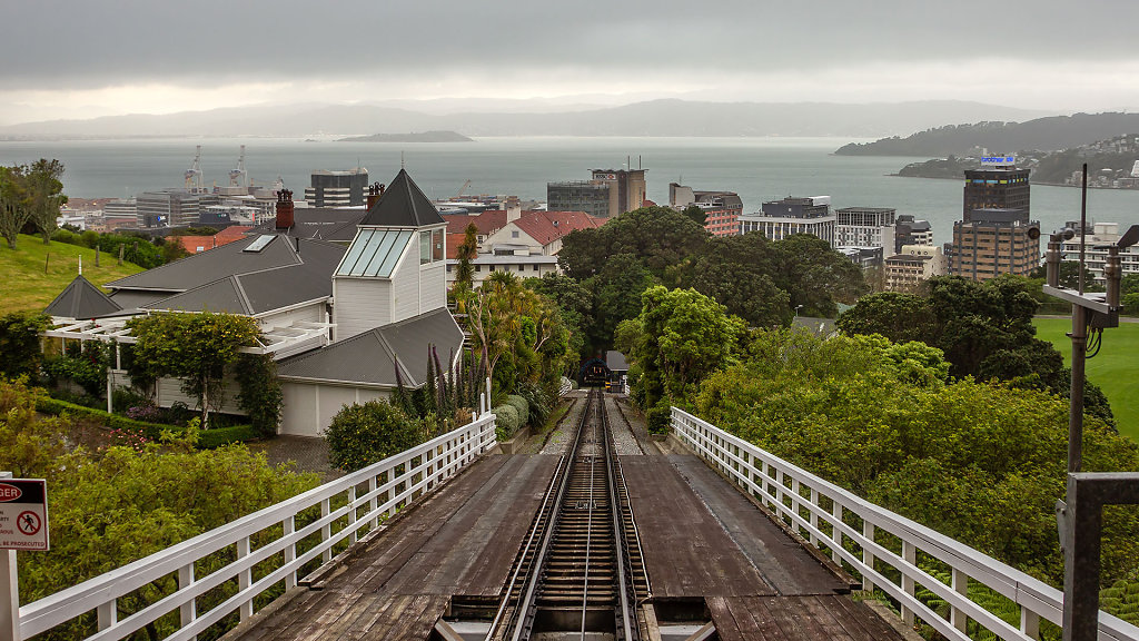 WLG-0527.jpg