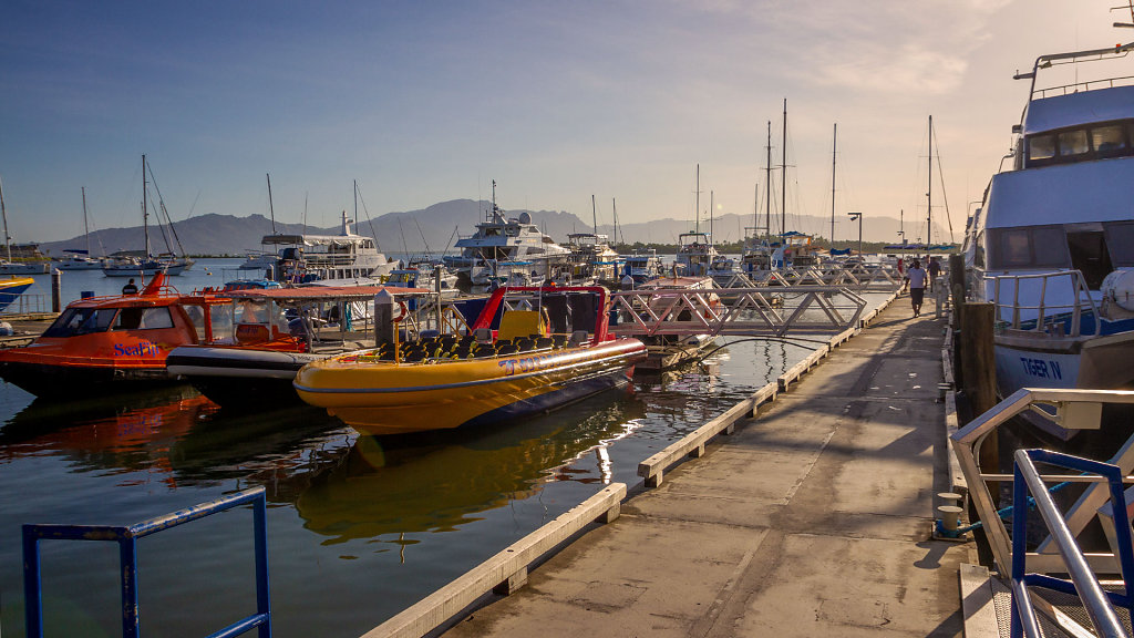 Denarau Marina