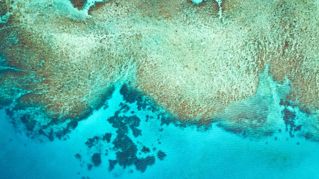reef in front of the beach