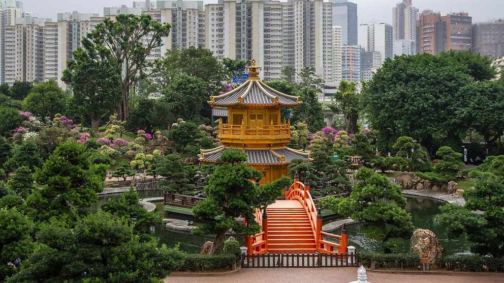 HKG-1460.jpg