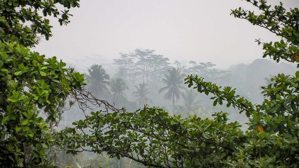 JOG-2875.jpg