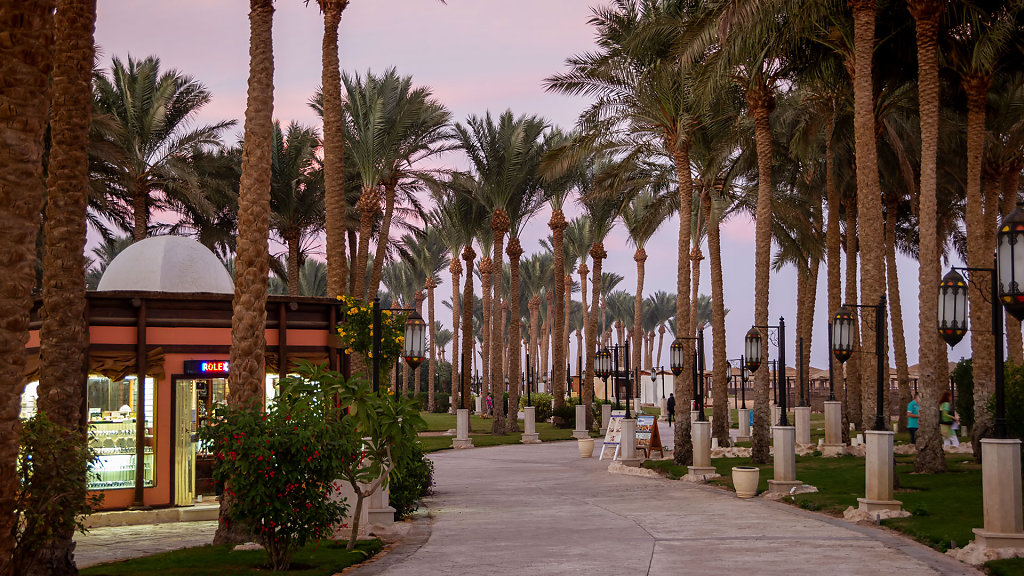 EGY-0030.jpg