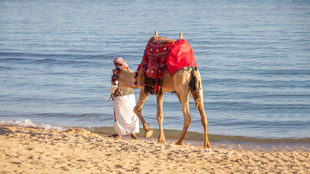 EGY-0086.jpg