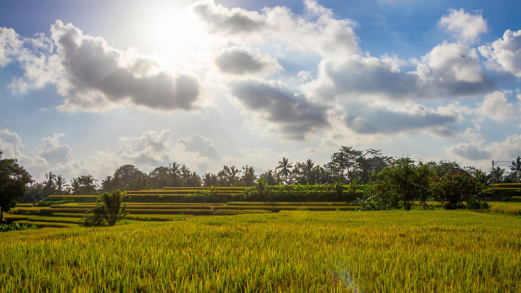 DPS-2362-HDR.jpg