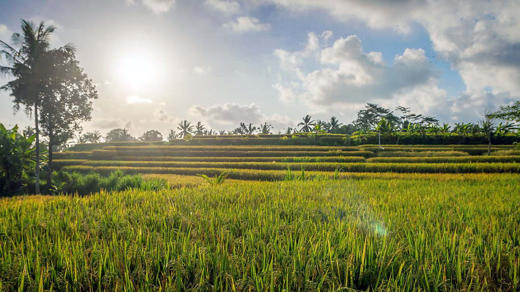 DPS-2372-HDR.jpg