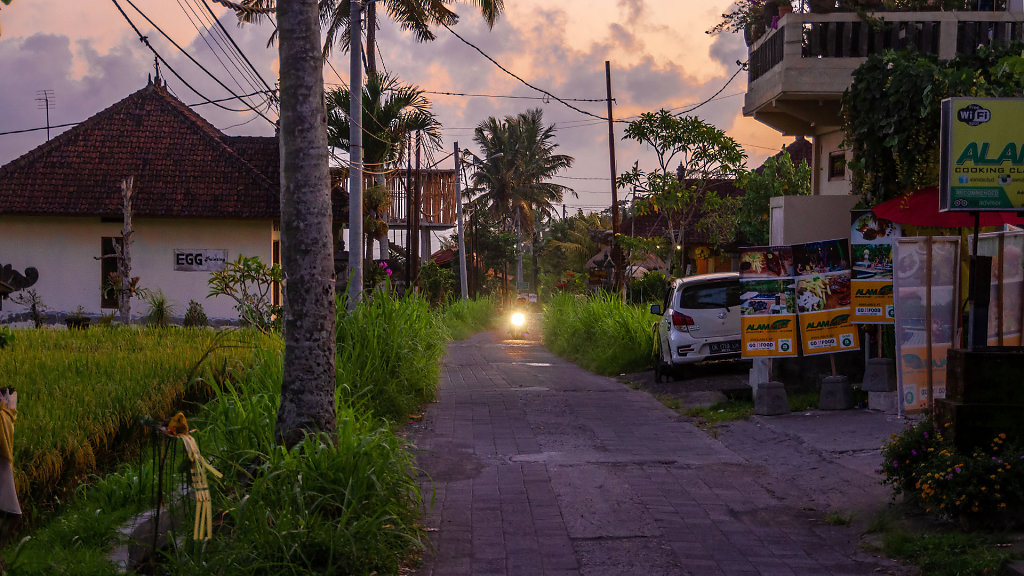 DPS-2394.jpg