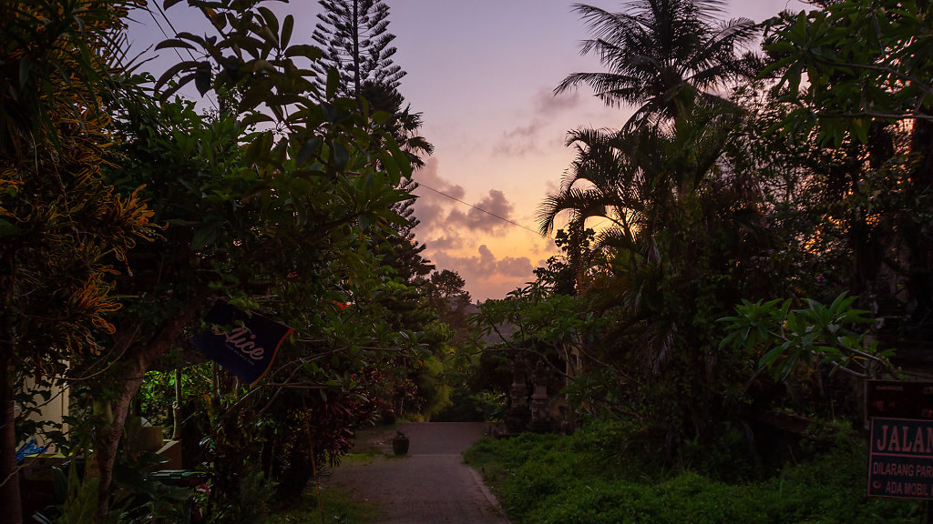 DPS-2397.jpg