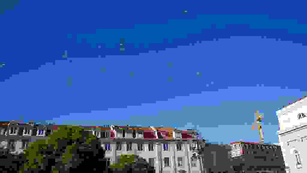 LIS-0881.jpg